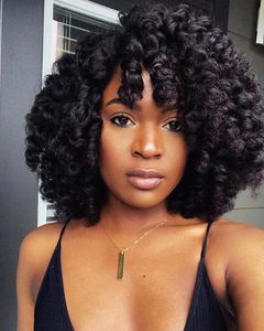 12 Inch Curly Wigs For African American Women The Same As The Hairstyle In Picture nu