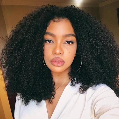 14 Inch Curly Wigs For African American Women The Same As The Hairstyle In The Picture gi