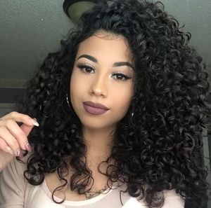 14 Inch Kinky Curly Wigs For African American Women The Same As The Hairstyle In The Picture dk
